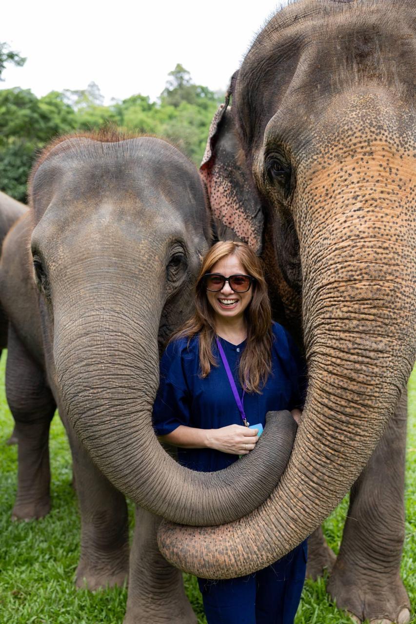 Chiang Mai Elephant Sanctuary